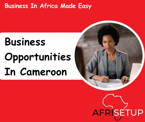 Business Opportunities in Cameroon (1)