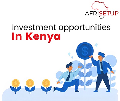 Investment Opportunities in Kenya