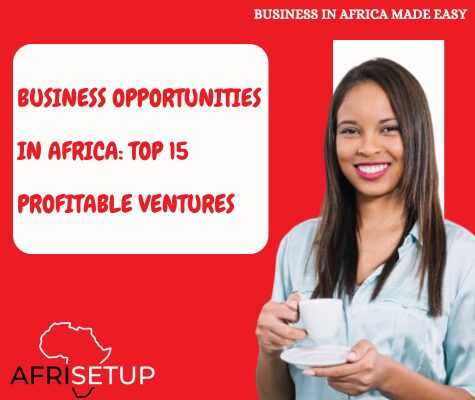 Business Opportunities in Africa