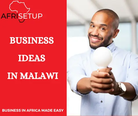 Business ideas in Malawi