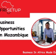 Business Opportunities in Mozambique