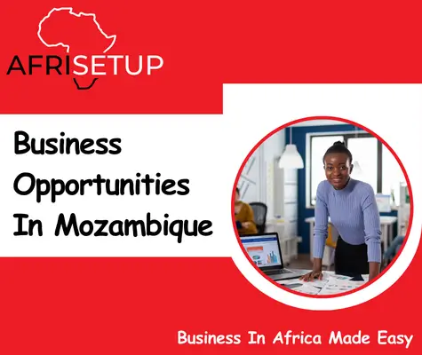 Business Opportunities in Mozambique