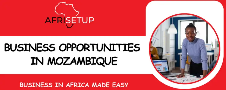 Business Opportunities in Mozambique