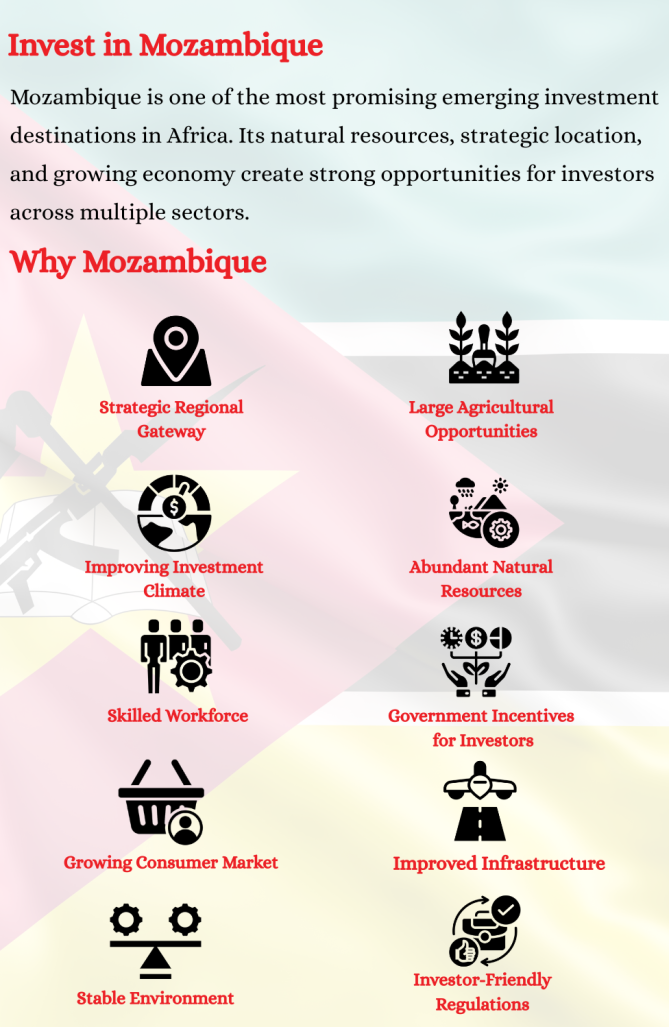 Invest in Mozambique