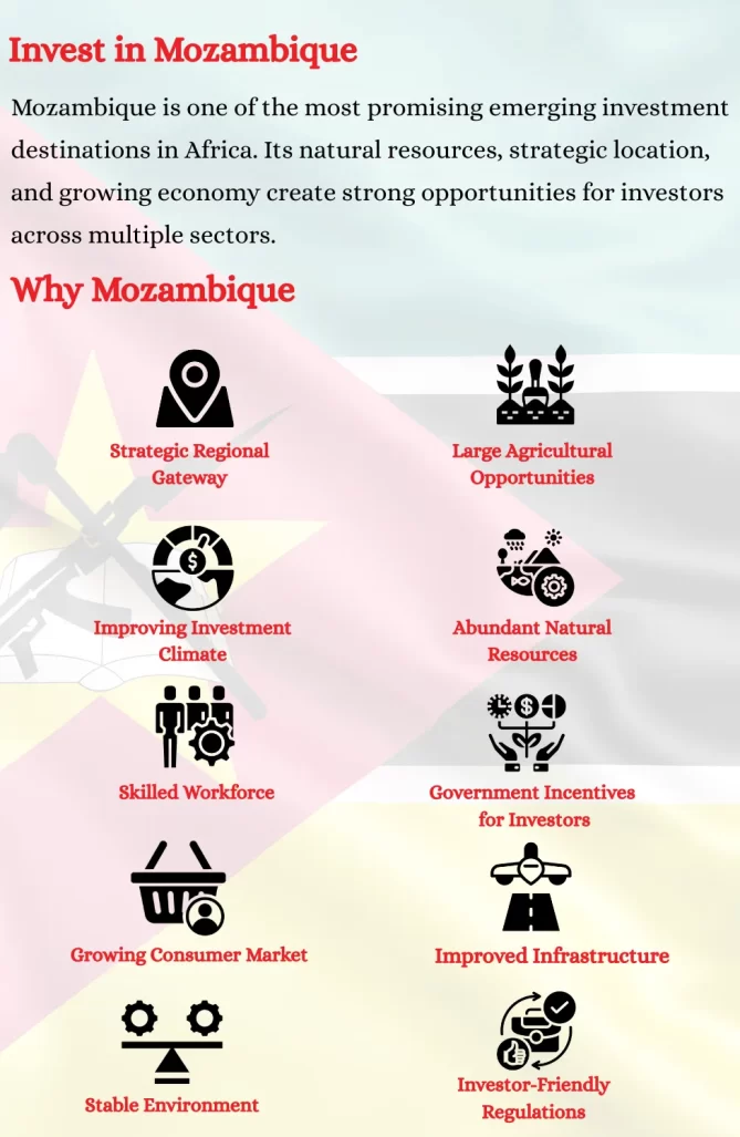 Invest in Mozambique