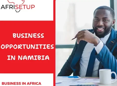 Business Opportunities in Namibia 1
