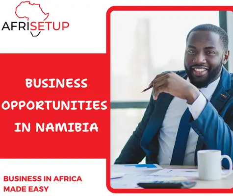 Business Opportunities in Namibia 1
