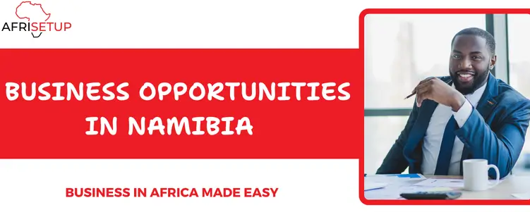 Business Opportunities in Namibia (2)