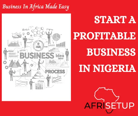 Start a Profitable Business in Nigeria