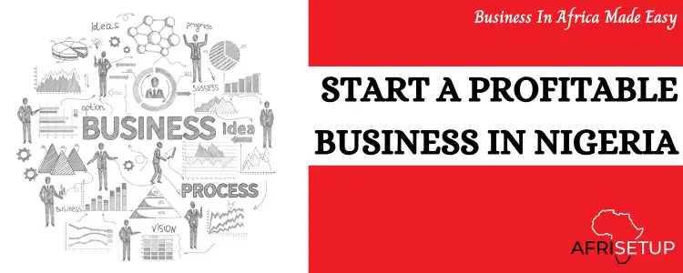 Start a Profitable Business in Nigeria