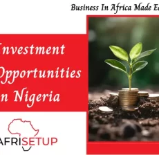 Investment Opportunities in Nigeria (1)