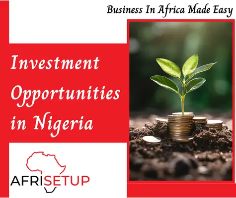 Investment Opportunities in Nigeria (1)