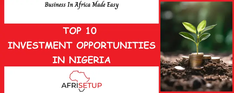 Investment Opportunities in Nigeria