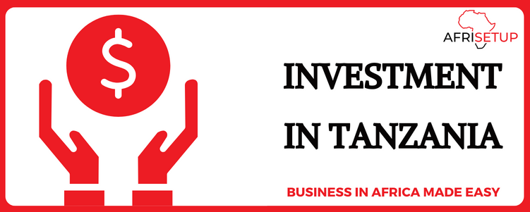 Investment in Tanzania