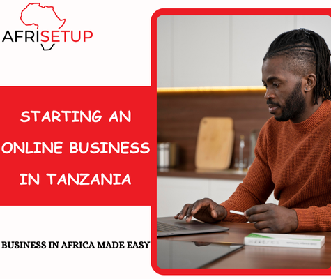 Starting an Online Business in Tanzania