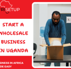 Start a wholesale business in Uganda