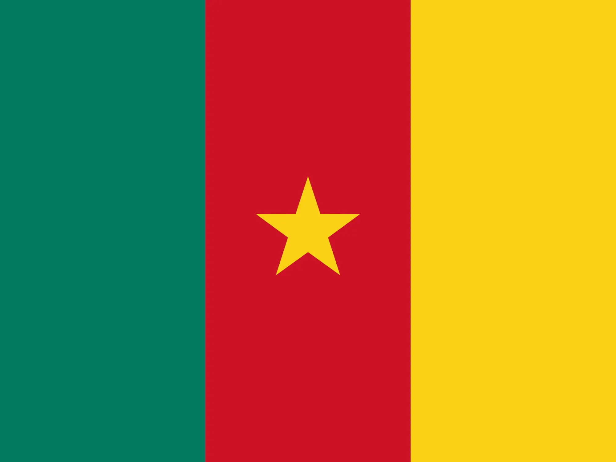 Cameroon Afrisetup