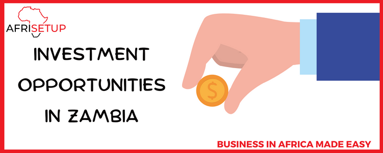 Investment opportunities in Zambia