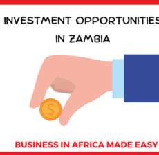 Investment opportunities in Zambia