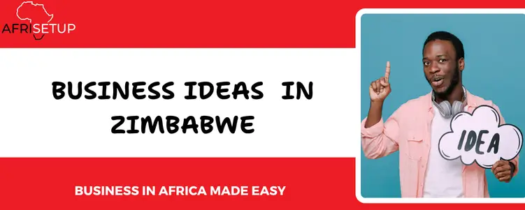 Business ideas in Zimbabwe (1)