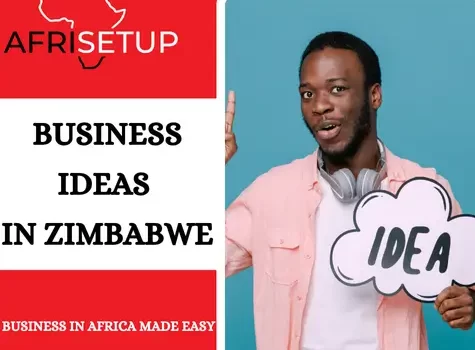 Business ideas in Zimbabwe